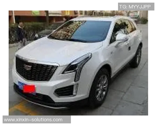 洲际杯积分榜最新动态武汉排球队以57分稳居榜首展现强劲实力